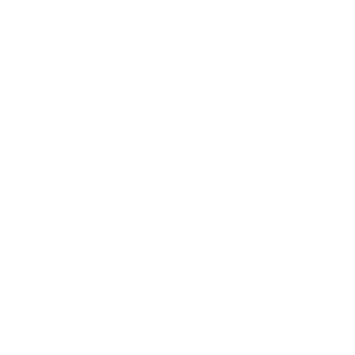 apple logo white